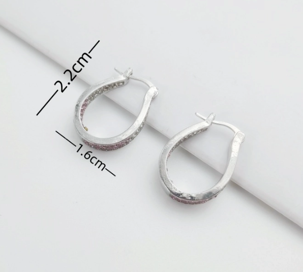 1 Pair Casual Elegant Lady Circle Inlay Titanium Steel Zircon Earrings - 1